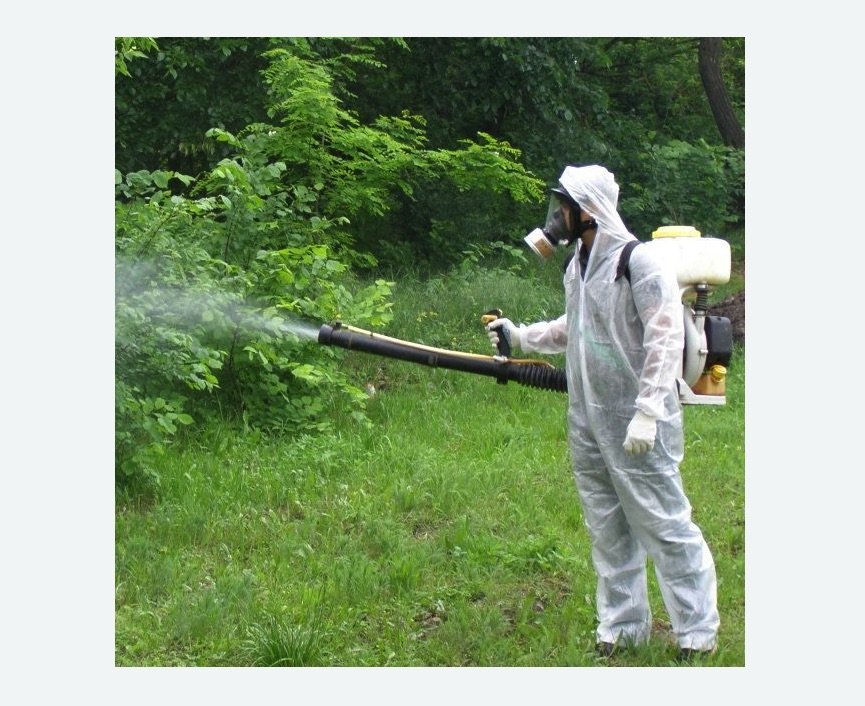 обработка территории от клещей в Боготоле