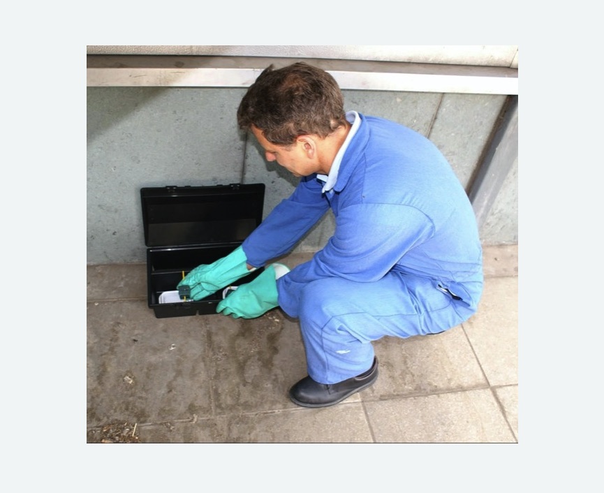 Уничтожение мышей в Боготоле Уничтожение мышей