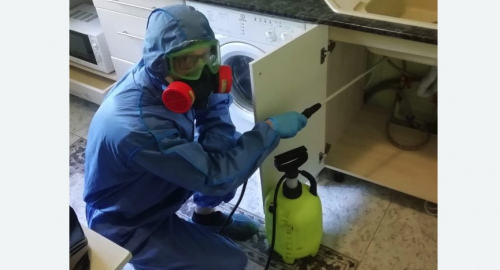 Уничтожение муравьев в квартире. Боготол