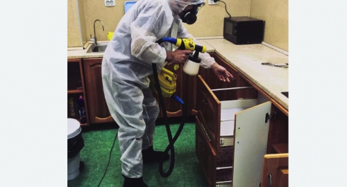 Уничтожение насекомых в квартире. Боготол