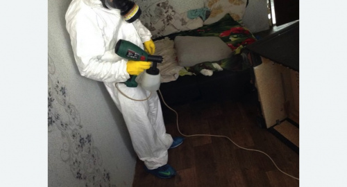 Обработка квартир от насекомых в Боготоле