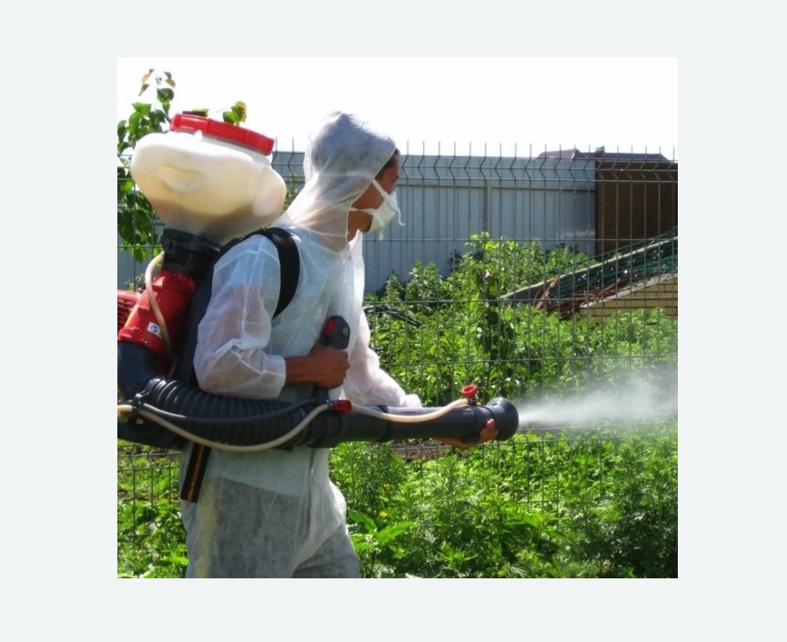 Акарицидная обработка территории в Боготоле