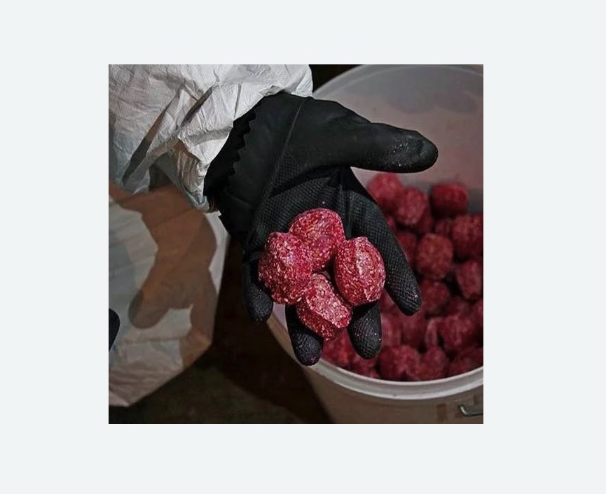 Обработка от крыс в Боготоле