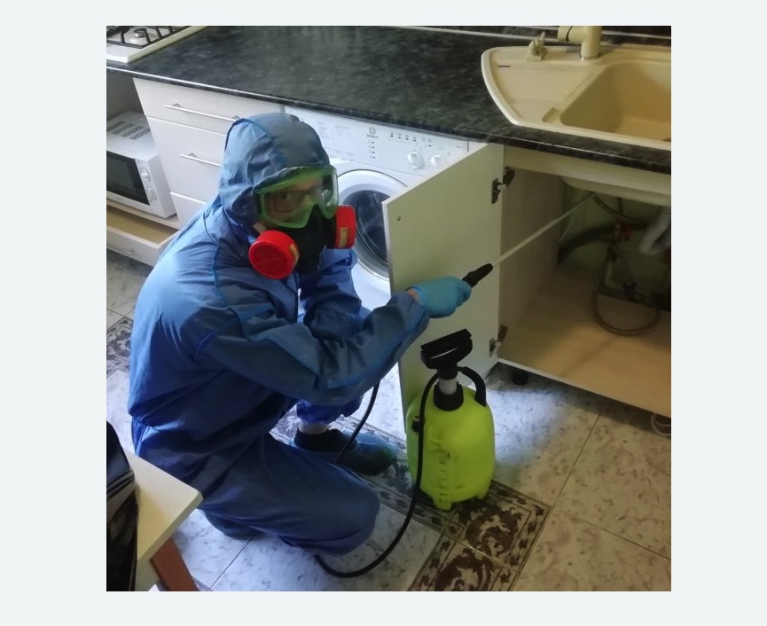 обработка от муравьев в квартире в Боготоле