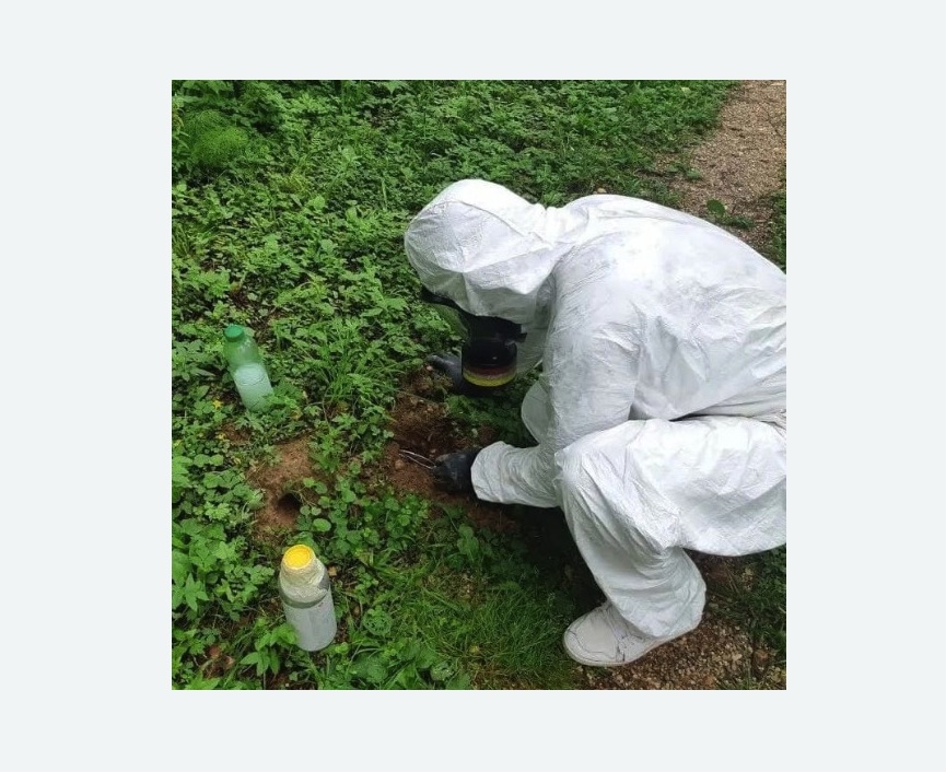 уничтожение кротов на участке в Боготоле