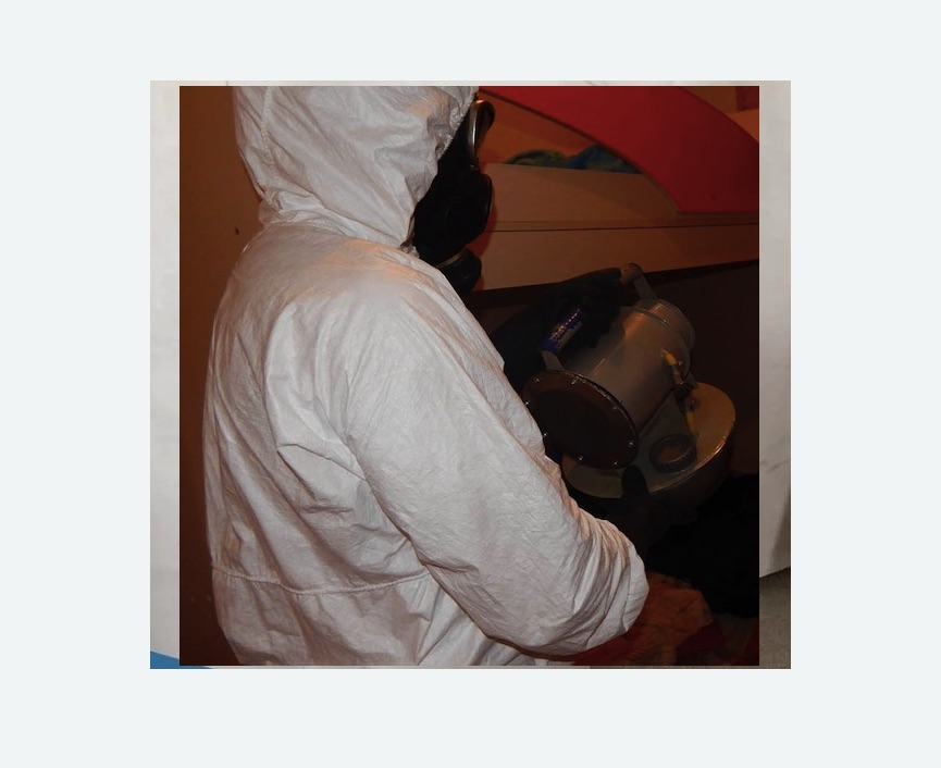 Дезинфекция от муравьев в Боготоле