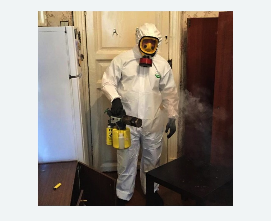 уничтожение муравьев в квартире в Боготоле